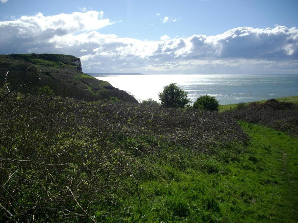 Villa Les Falaises Berneval-le-Grand Экстерьер фото